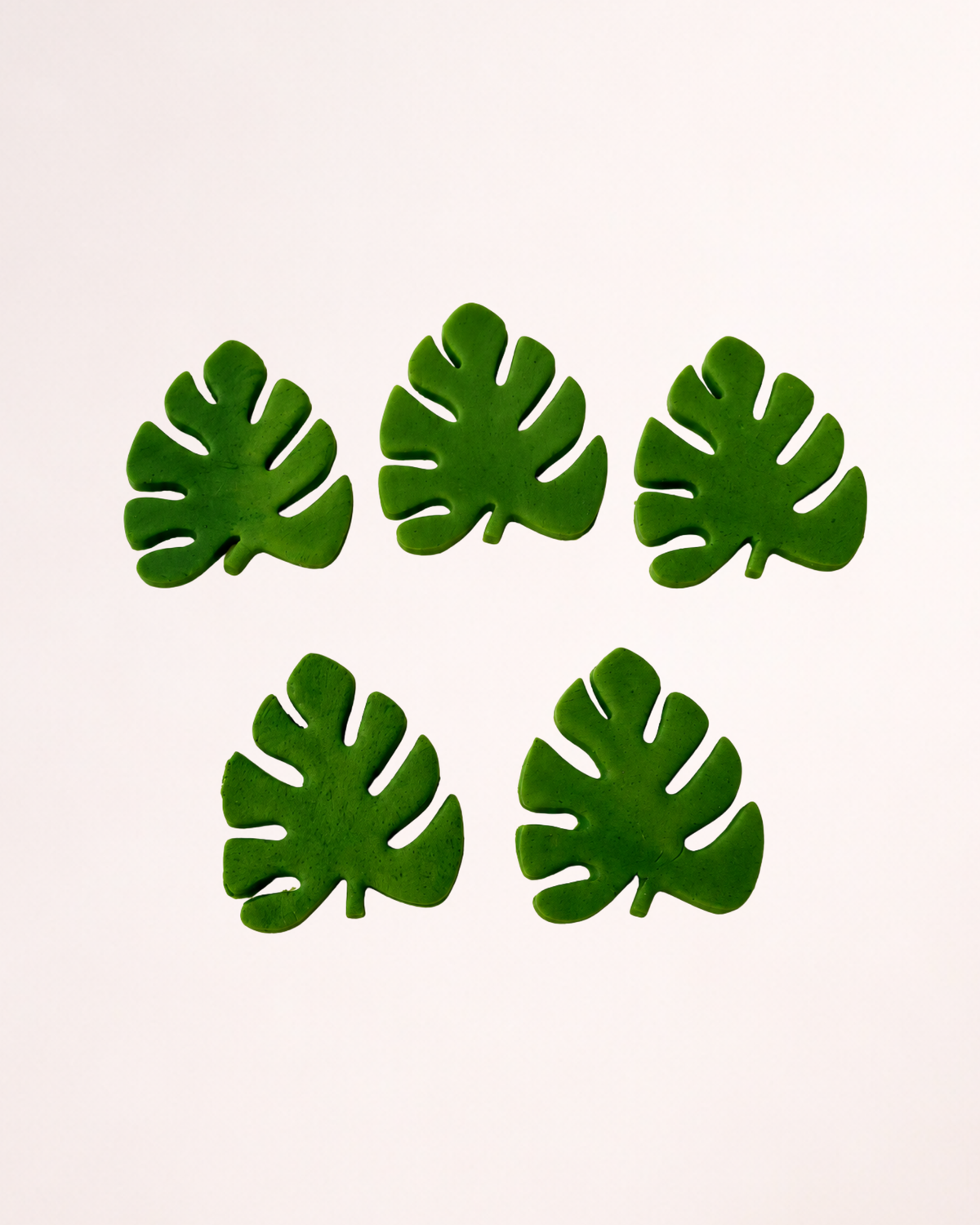 5 x Frunze Monstera - Set Decor Tort