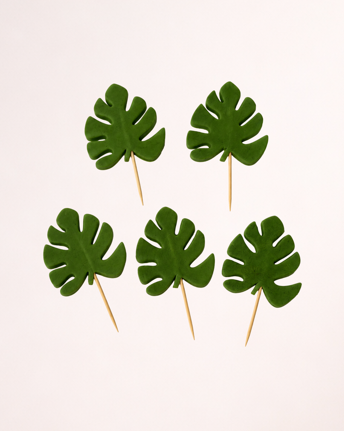 5 x Frunze Monstera - Set Decor Tort